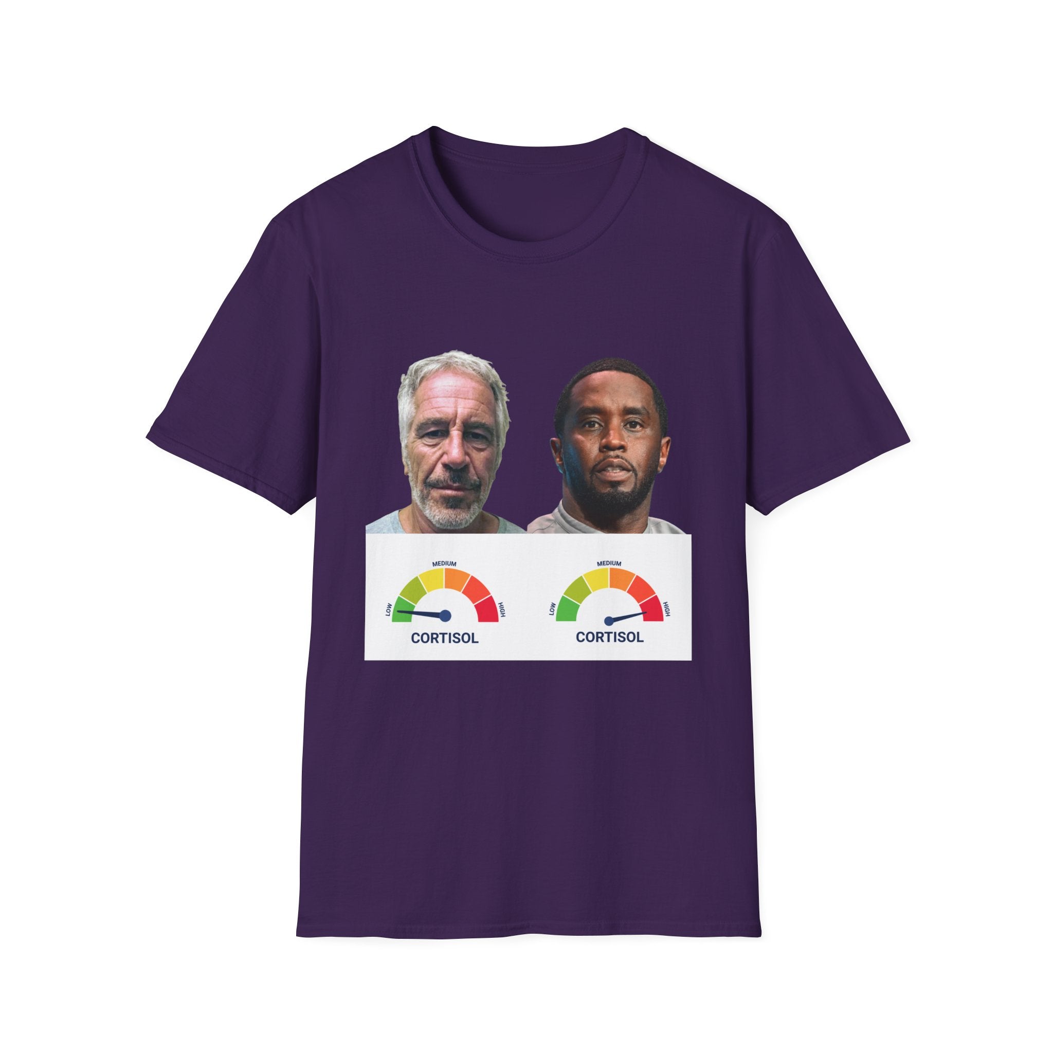 Epstein vs Diddy Cortisol T-shirt